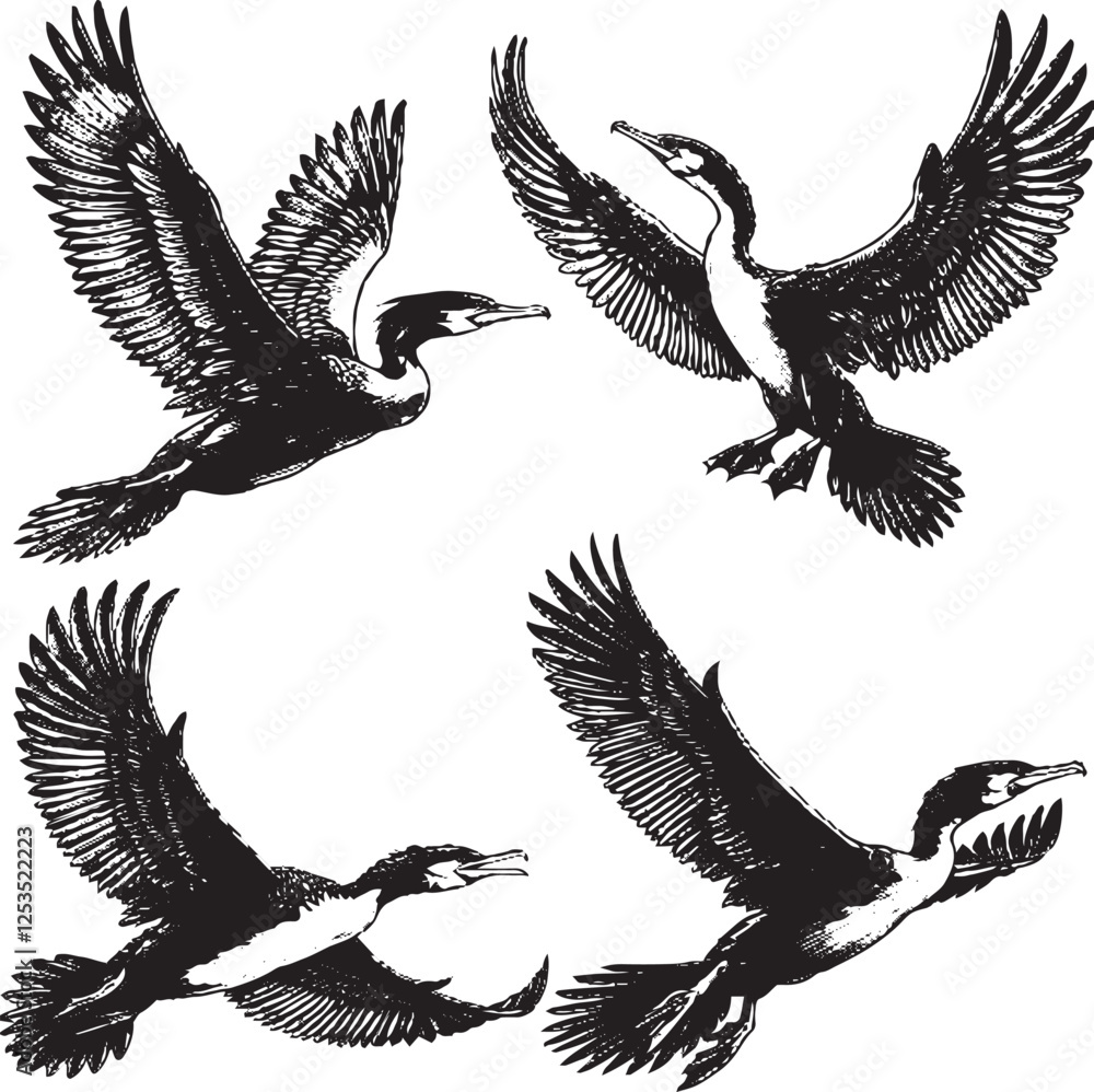 Obraz premium Dynamic Cormorant Illustrations - Detailed Black-and-White Flight Sketches