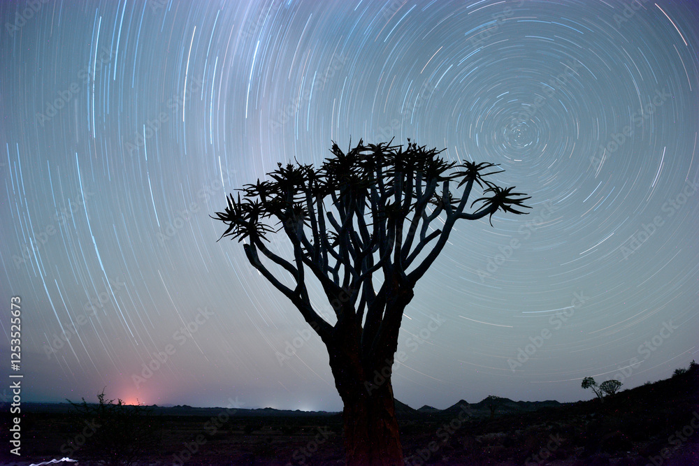 Startrails Namibia - Egzotyczne drzewo kołczanowe na tle gwieździstego nieba