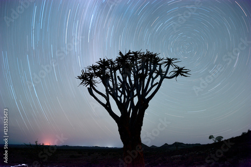 Obraz na płótnie Startrails Namibia - Egzotyczne drzewo kołczanowe na tle gwieździstego nieba w salonie