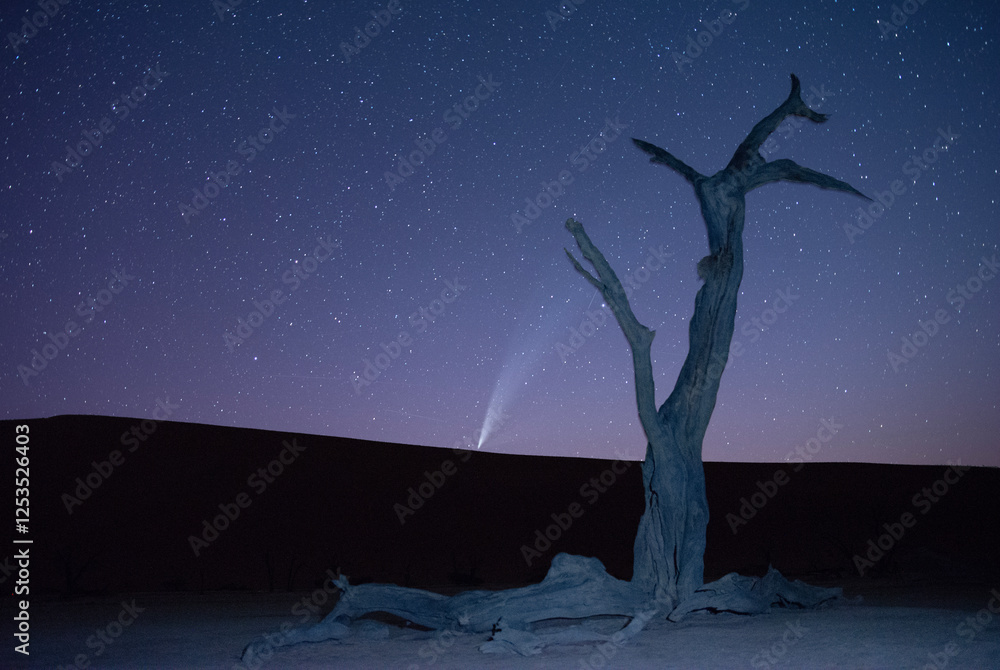 Zachód komety za wydmę w Dolinie śmierci w Namibii - Deadvlei nocą