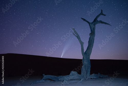 Obraz na płótnie Zachód komety za wydmę w Dolinie śmierci w Namibii - Deadvlei nocą w salonie