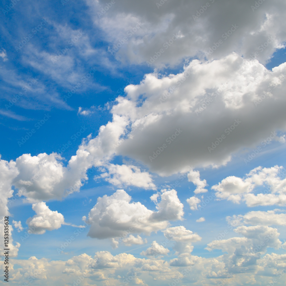 Naklejka premium Blue sky and cumulus clouds.