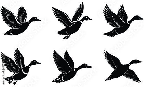 Flying Duck silhouette set, fly loon vector, ducks icons illustration