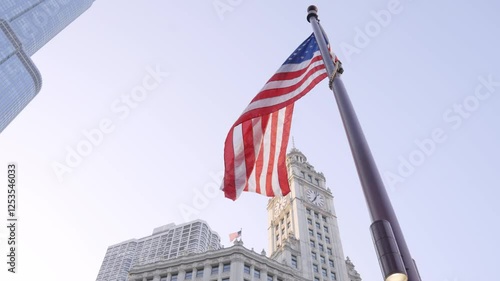 The flag of the united states of america
