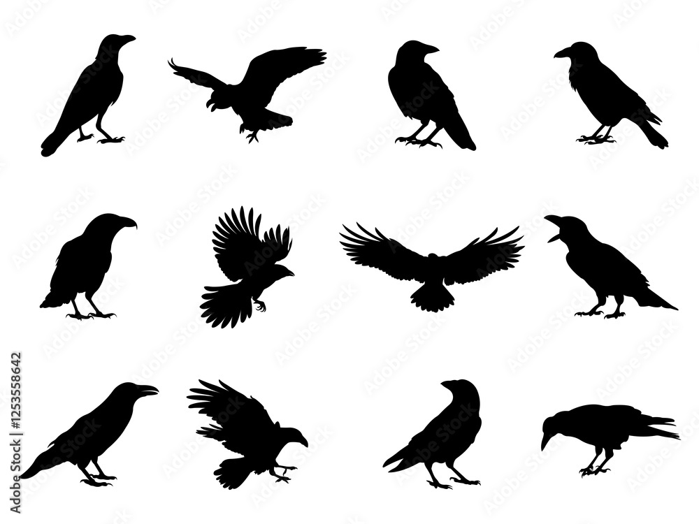 Fototapeta premium Set of Raven Silhouette in various poses isolated on white background. A collection of black crows.