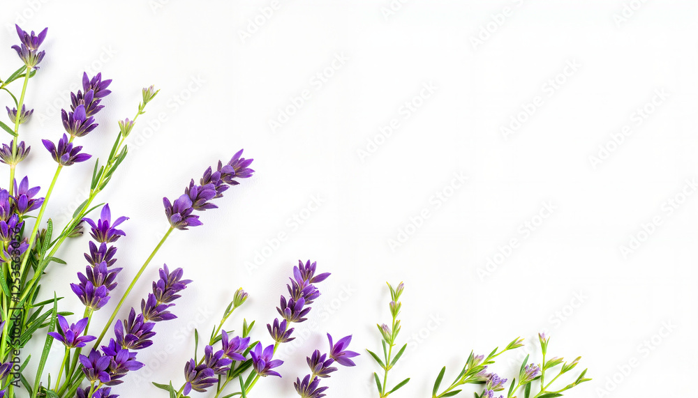 Naklejka premium Lavender sprigs and herbs arranged beautifully, natural freshness