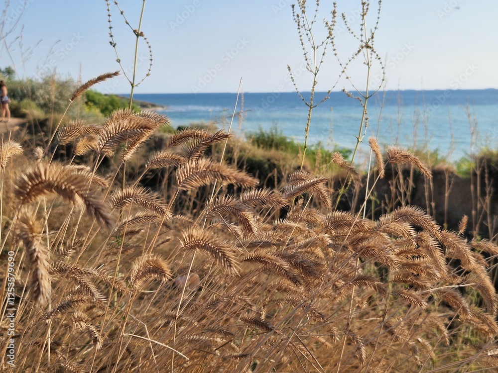 Obraz premium Secluded Beach