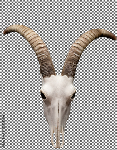 Goat horns, Realistic Goat horns with Natural Curves and Texture on transparent background, png, psd
