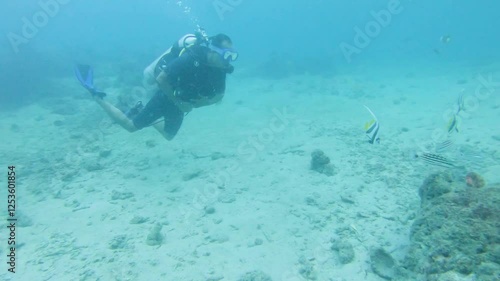 Wallpaper Mural scuba diver enjoying adventurous deep-sea dive with marine life underwater close up view Torontodigital.ca