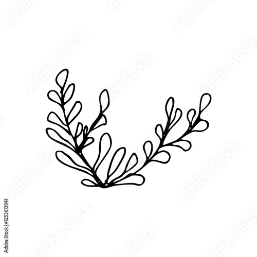 algae seaweed hand drawn