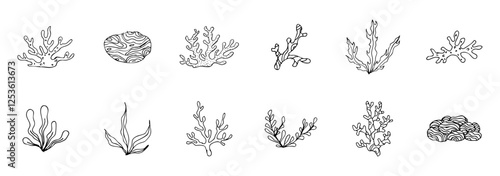 set of coral reefs hand drawn illustration