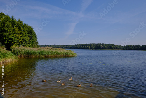 Obraz na płótnie Goldap Lake in summer hot day w salonie