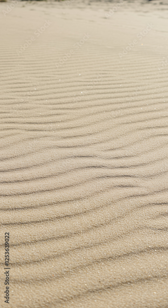 Sandscape Serenity: Captivating Waves of Golden Sand, Beach Textures, & Natural Desert Beauty