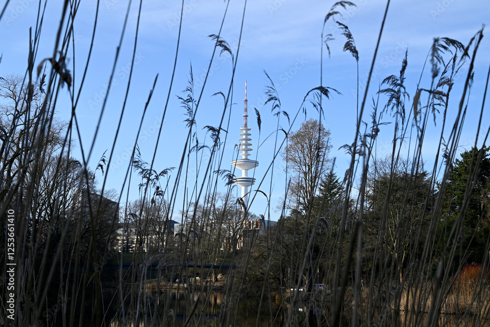Obraz premium Reflection effects at a Hamburg City Park, Germany