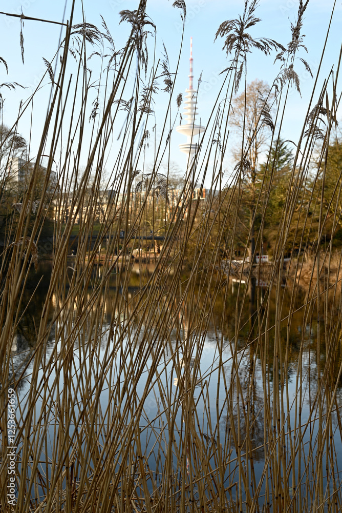 Reflection effects at a Hamburg City Park, Germany Reflection effects at a Hamburg City Park, Germany