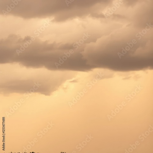 Beige cloudy sky with dark brown stormy clouds and black trees on the horizon, horizon, beige, rainy