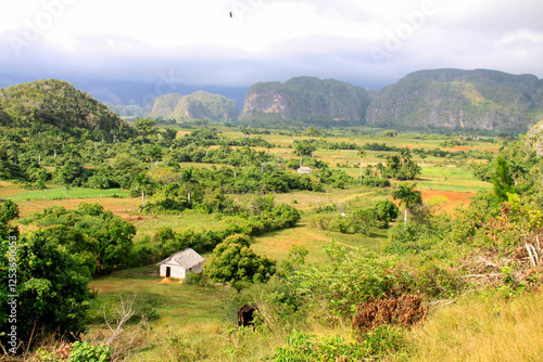 Panorama bucolico della Valle di Vinales a Cuba photo