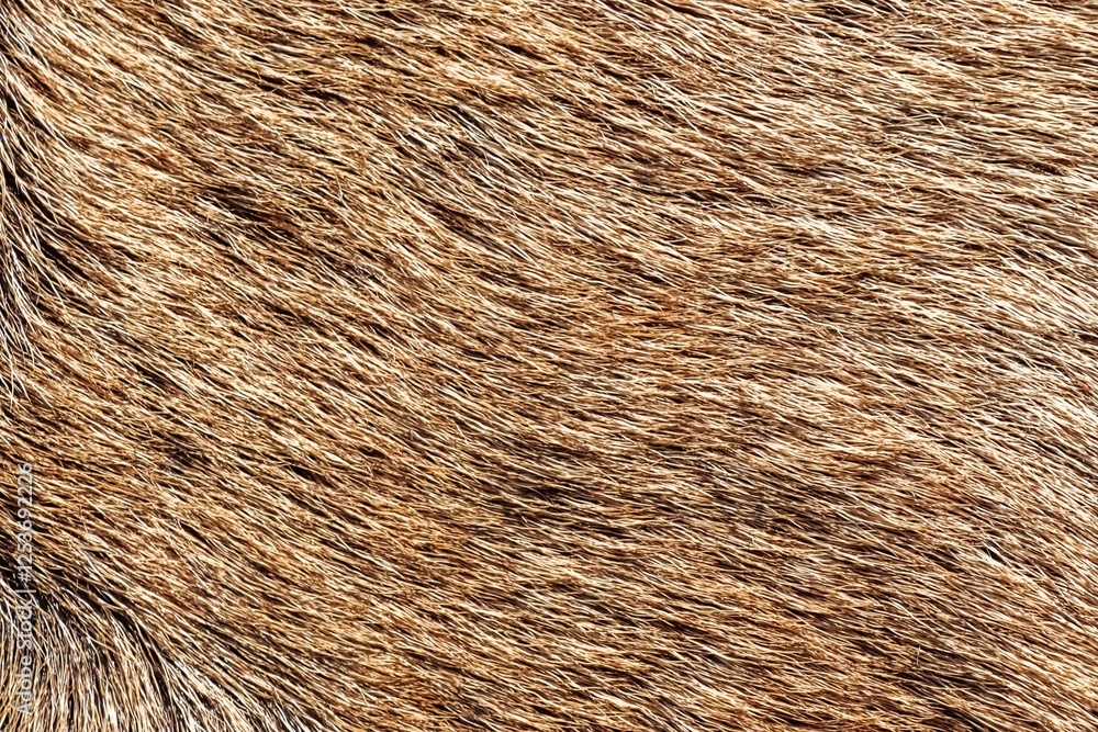 Brown animal fur texture creating cozy and warm background Brown animal fur texture creating cozy and warm background