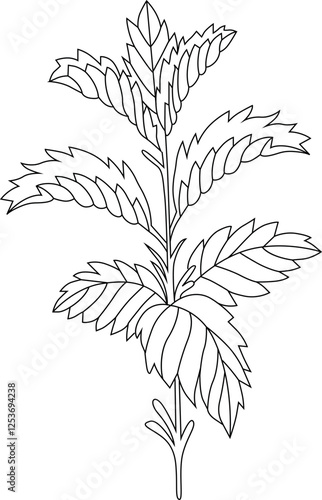 Vector graphic sketch of nettle plant