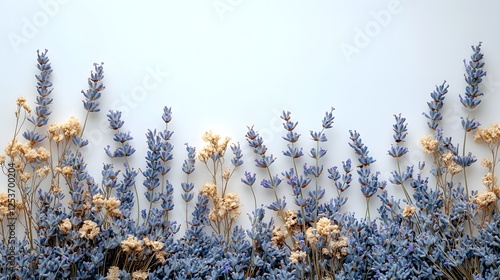Wallpaper Mural Peaceful and serene minimalist scene featuring a carefully arranged display of dried lavender sprigs and assorted dried blooms on a clean white background with soft natural lighting and a muted Torontodigital.ca