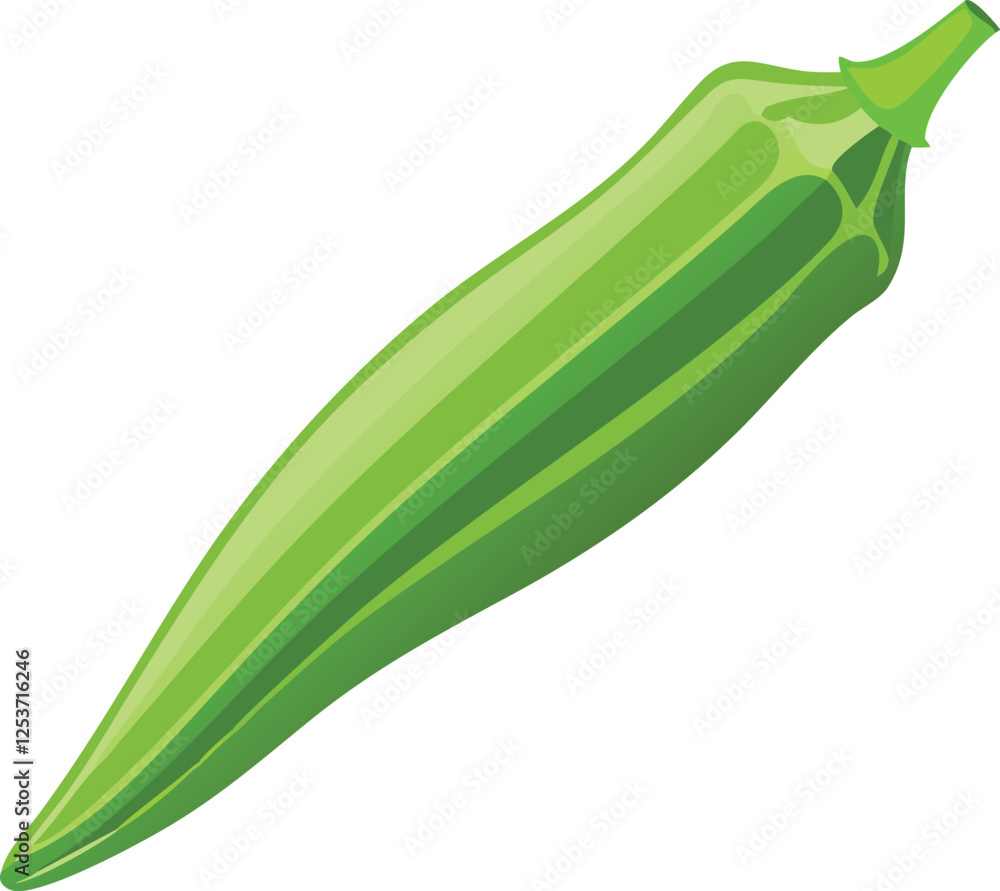 Okra vector art with a white background. Green Okra Vegetable Illustration Isolated on White Background Okra vector art with a white background. Green Okra Vegetable Illustration Isolated on White Background