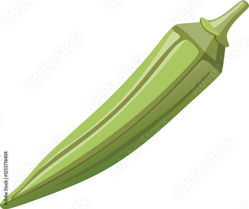 Okra vector art with a white background. Green Okra Vegetable Illustration Isolated on White Background