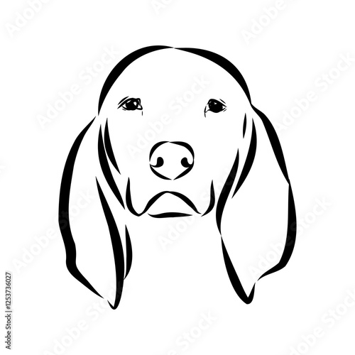 Porcelaine dog isolated on white background. Hand drawn dog breed vector sketch.