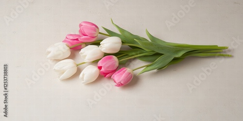 Elegant Arrangement of Pink and White Tulips on Soft Background