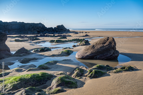 Exposed rocks sand and seaweed at low tide photo