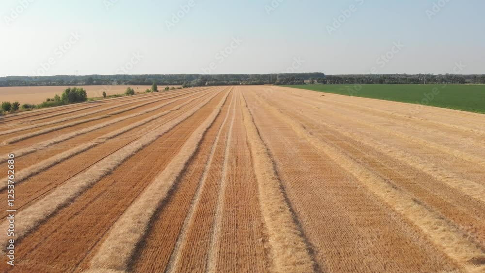 harvesting efficiency – modern farming technology in action harvesting efficiency – modern farming technology in action
