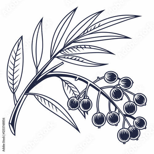 Creative tree icon Silver Saw Palmetto vector illustration

