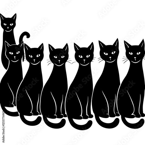 black and white cats