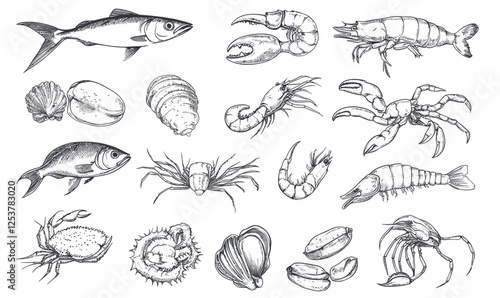 Vintage Hand-Drawn Seafood Sketch Collection with Fish, Crustaceans, and Shellfish Illustrations