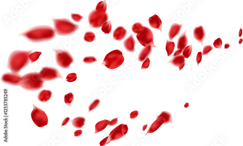 Floating flower petals Valentine's day vector illustration. Red rose petals symbols