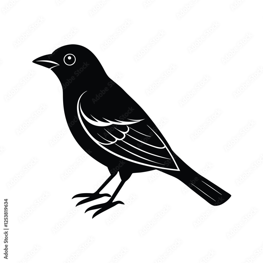 Fototapeta premium A vector silhouette o summer tanager