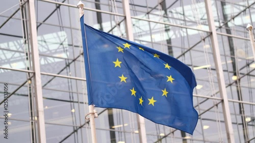 Flag of the European Union 