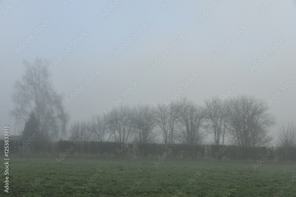 Brouillard épais sur un paysage rural à Écaussinnes d'Enghien Brouillard épais sur un paysage rural à Écaussinnes d'Enghien