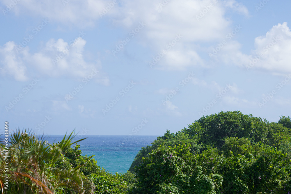 Le bleu de l'océan atlantique au Marigot dans le nord de la Martinique.