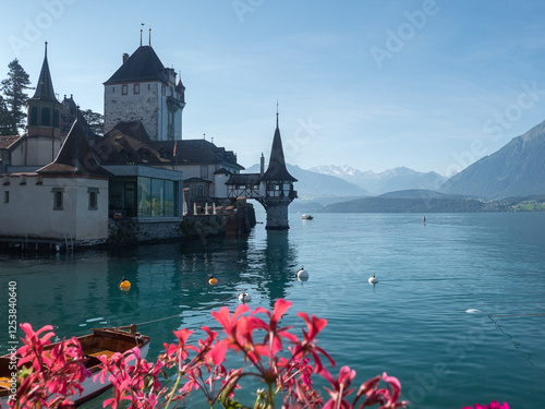 Paysages de Suisse - Lac de Thoune  photo