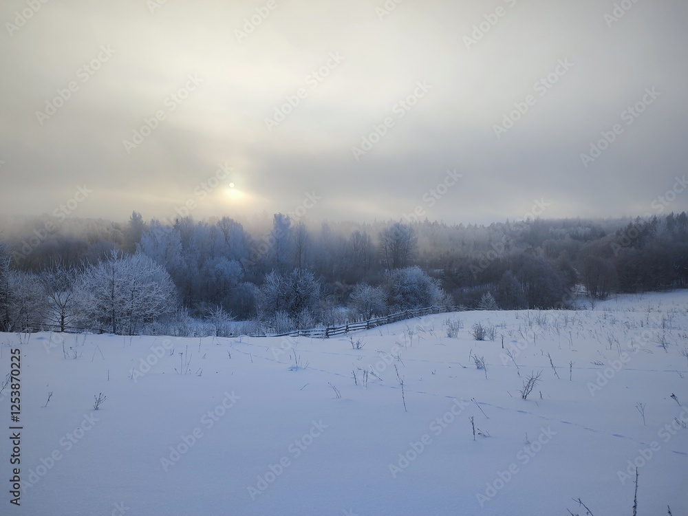white snow-covered field against the backdrop of an old fence and a dark forest on the horizon, in the fog, on a gray, snowy, dank, cold, winter day white snow-covered field against the backdrop of an old fence and a dark forest on the horizon, in the fog, on a gray, snowy, dank, cold, winter day