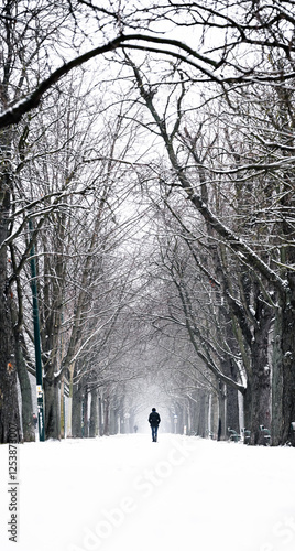 Photography winter in the park