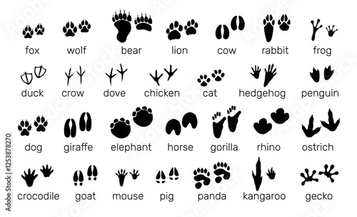 Animals footprints. Black silhouette icons. Paw prints. Birds steps. Predators and herbivores. Mammal tracks with text inscriptions. Different traces. Wildlife fauna trails vector set
