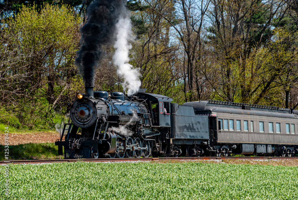 Obraz premium A vintage steam locomotive chugs along a green field, releasing thick smoke into the clear sky. This picturesque journey showcases a blend of history and nature, perfect for train enthusiasts.