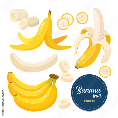 Vector cartoon collection of banana fruit different types single, bunch, sliced isolated on white background.
