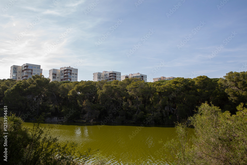 River in the Mediterranean vegetation of a natural park River in the Mediterranean vegetation of a natural park