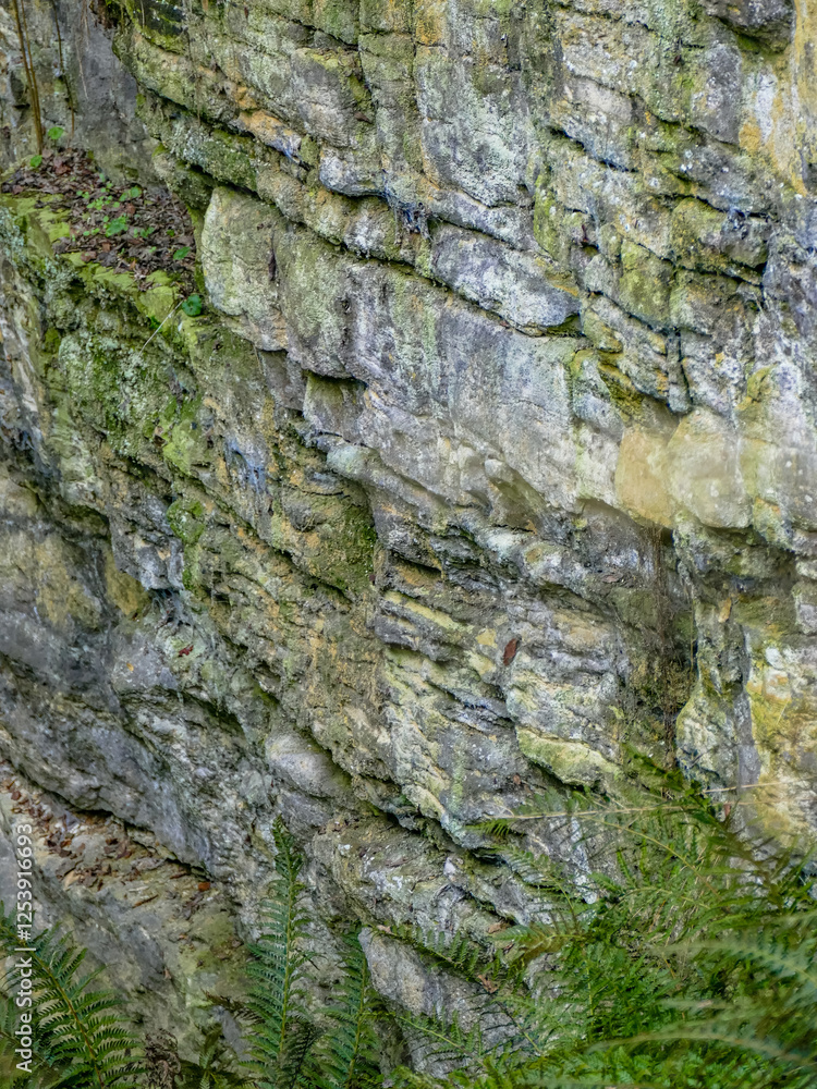 Gesteinsschichten im Muschelkalk Gesteinsschichten im Muschelkalk