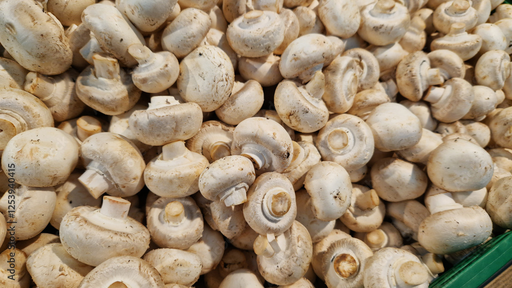 Sale of champignons in a supermarket. Champignons in plastic boxes, close-up. Mushrooms in a store. A pile of champignons for sale at the market with selective focus Sale of champignons in a supermarket. Champignons in plastic boxes, close-up. Mushrooms in a store. A pile of champignons for sale at the market with selective focus