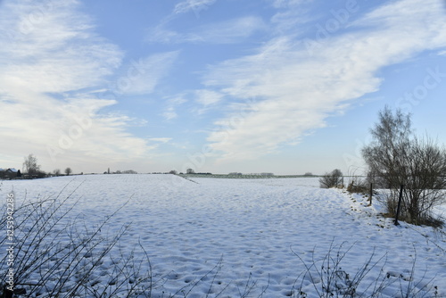 Wallpaper Mural Vaste champ sous la neige par un ciel mitigé à Écaussinnes-d'Enghien (Hainaut) Torontodigital.ca