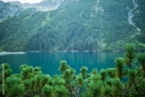 Landscape view of Morske Oko lake with fur trees on foreground and mountains on background, Poland
