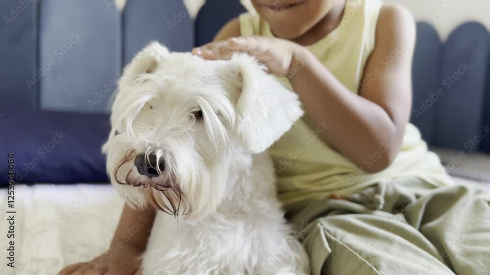 Child Bonding With a White Schnauzer on the Bed Child Bonding With a White Schnauzer on the Bed